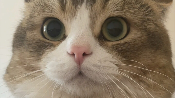 Tôi ôm bạn một cái có được không?