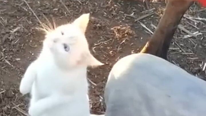 Mi: Thanks for Nature’s Gift