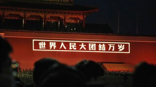 世界人民大团结！【free  palestine】