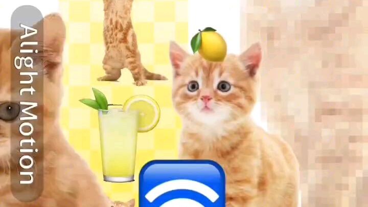 reality is lemon's 🍋🍋