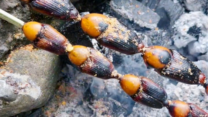 Bamboo worm snacks—bite one, crunch it crisp!