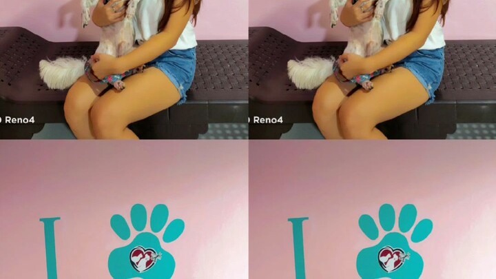 EmmanRose Pet Grooming