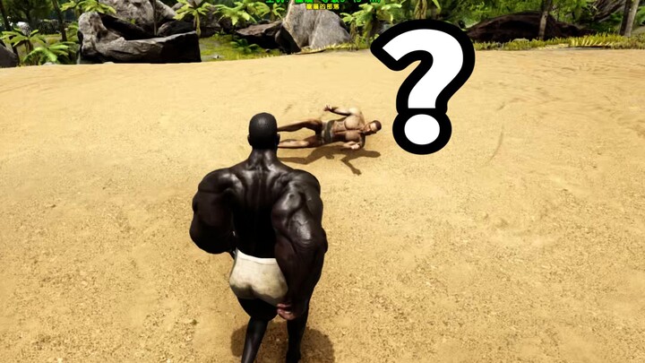 Two years later, I returned to the Ark again!