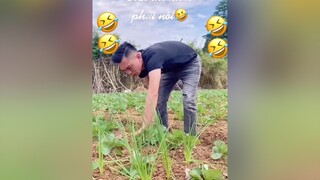 🤣🤣🤣🤣🤣xuhuongtiktok❤️🙆‍♀️ xuhuong tiktok hàihướcvuinhộn haihuoc cuoibebung cườikhôngnhặtđượcmồm emsetrove_benanh