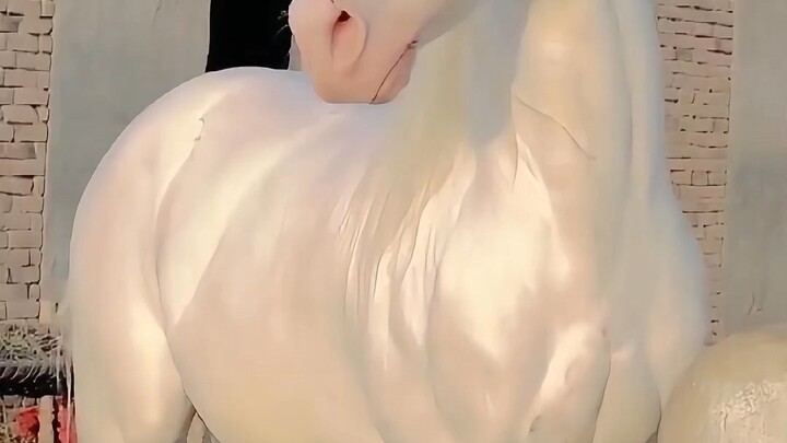 Here are a few different horse breeds—have you seen any of them?