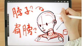 头，脖子，肩膀如何连接？
