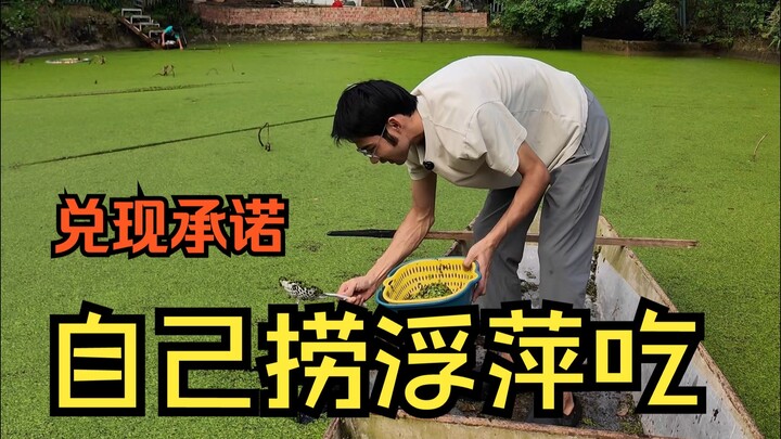 As you all wished, I’m here to compete with the ducks for the duckweed! What does duckweed, which du