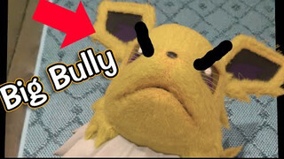 （中字）【宝可梦】雷伊布，但是吵得要命