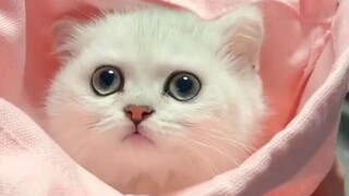 ajfdlrtiskgxhryw