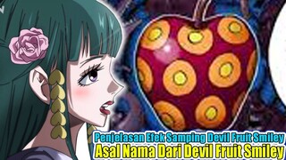 Pembahasan One Piece 943, JADI INI ASAL NAMA SMILE DARI DEVIL FRUIT BUATAN CAESAR