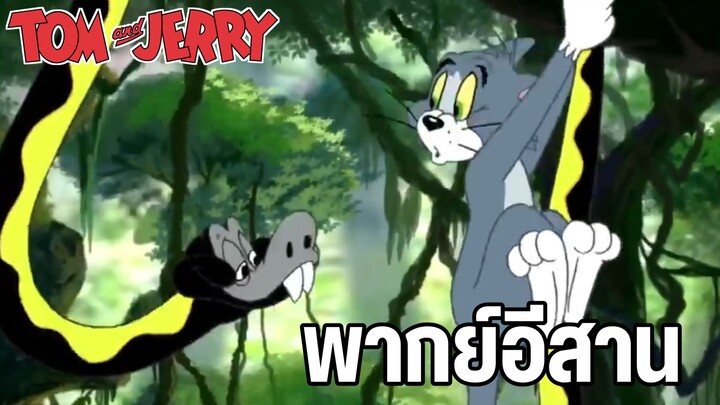 ทอมแอนด์เจอร์รี่ พากย์อีสาน งูตกหลุมรัก