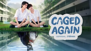 Caged Again Episode 2 English Subtitle