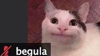 [Beluga和他的小伙伴]整破防了！上网课忘关麦克风了！