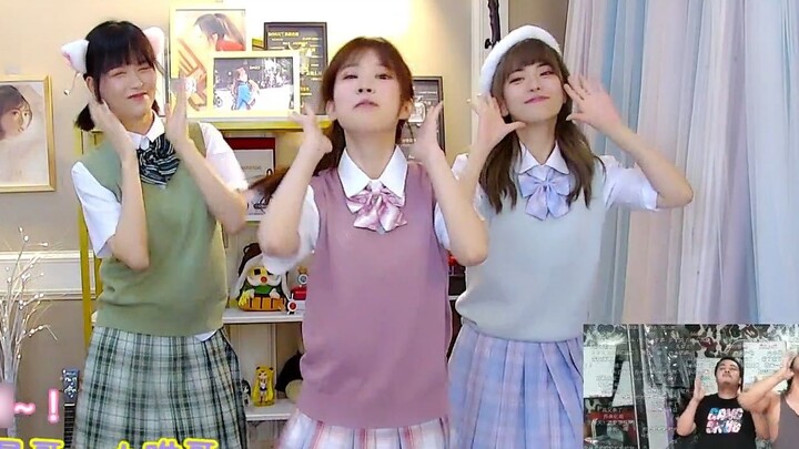 ครอบครัว A สวมชุด JK และเต้นรำเพลง "Single Eyelid Girl" ด้วยกัน: Yibao, Shubao, Danbao คุณจะเลือกใคร