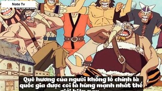 Top 7 Vương Quốc Kì Lạ Trong One Piece #17- 5