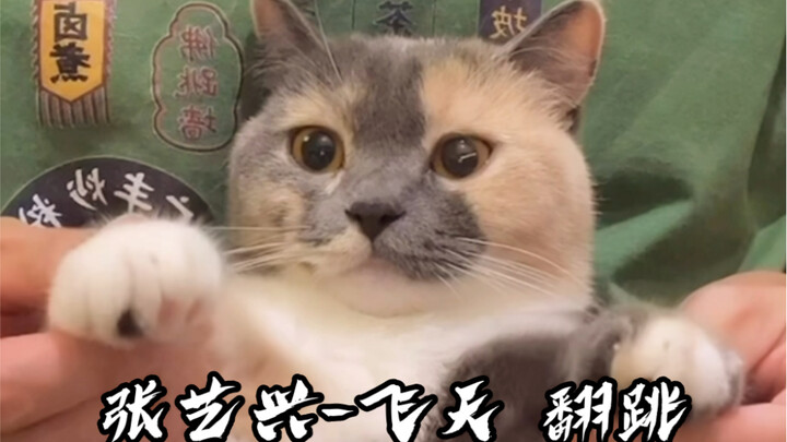 Zhang Yixing - Feitian Cover Dance (Sangat Sulit Versi Coba-coba)