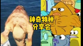 Are the fish in SpongeBob SquarePants real?