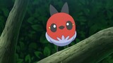 Pokemon: Sun and Moon Episode 127