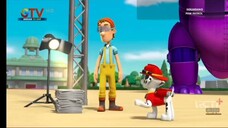 Paw Patrol Musim 5 Episode 17 dan Episode 18 Bahasa Indonesia Global Tv