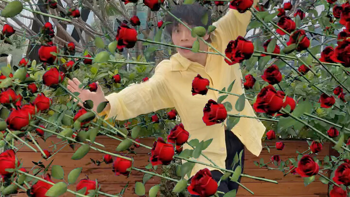 Mengirimkan 999 Mawar untukmu, Tidak Boleh Menolak