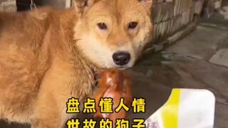 有什么是一根火腿肠解决不了的吗？