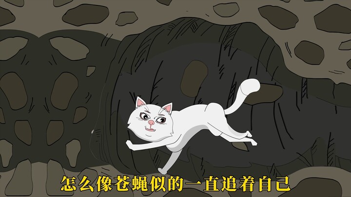 黄鼠狼好战的缘由！mvp就发媳妇？