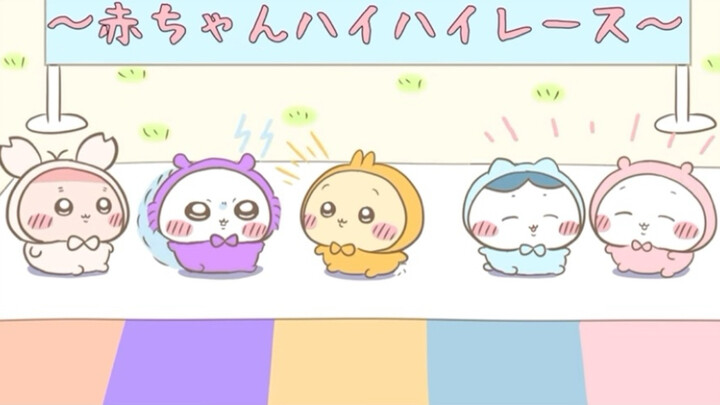 Chiikawa 乌萨奇吉伊小八宝宝宝宝时！