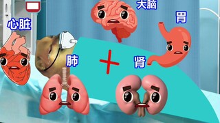 วิดีโอนี้เป็นการรำลึกถึงชีมส์ที่เพิ่งจากไป ขอขอบคุณสำหรับความสุขที่มันมอบให้เรา