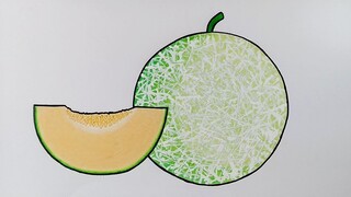 Menggambar buah melon || Cara menggambar buah yang mudah untuk pemula