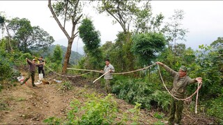 MÓN LÒNG BẮC 2 QUẢ NÚI (SIÊU DÀI) | Nhịp Sống Tây Bắc