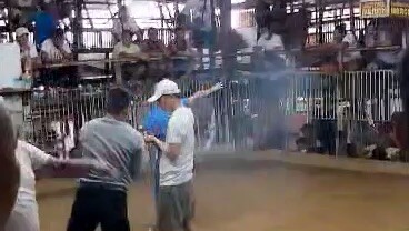 tayuman cockpit arena