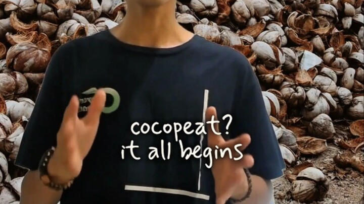 why does Indonesia produce so much cocopeat ?
