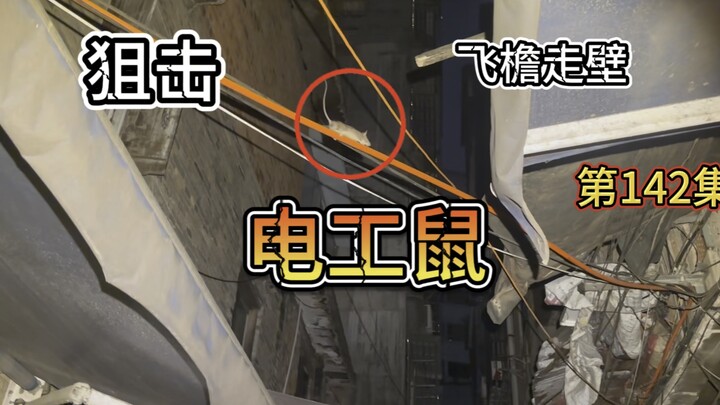 城市猎人大战电工鼠，全程高能无尿点！