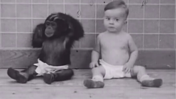 The World’s Most Heartbreaking Experiment