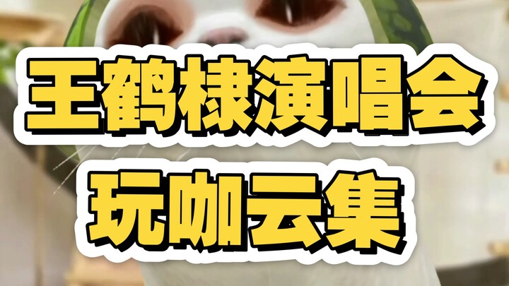 Who will lose it at Wang Hedi’s concert as a special guest?