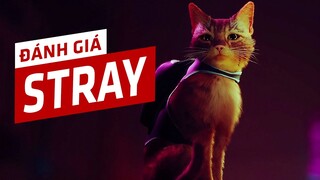 Đánh Giá STRAY - Chú Mèo Lạc Giữa Thế Giới Người Máy