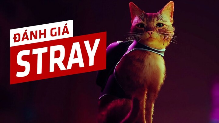 Đánh Giá STRAY - Chú Mèo Lạc Giữa Thế Giới Người Máy