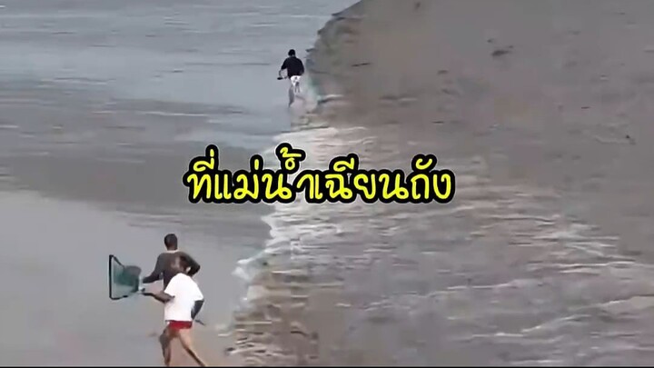 ความบ้าคลั่งของการจับปลาในคลื่นยักษ์  #shorts #fishinglife #china -