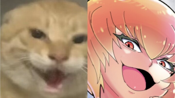 The ultimate true form of the round-headed octogenarian