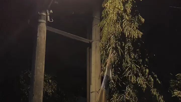 Ronda malam