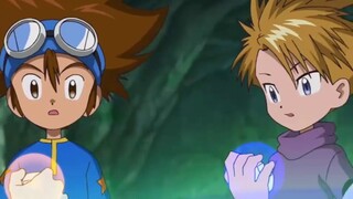 Digimon Taichiden 04, the perfect form is coming, Ogremon is a man