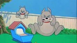 【Tom và Jerry / Hoa hồng thứ hai】 Định mệnh