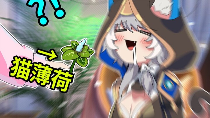 赛 飞 儿 诱 捕 器
