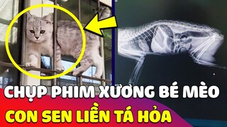 Chụp phim XƯƠNG HOÀNG THƯỢNG cong như lượn sóng, con sen theo dõi thì PHÁT HIỆN động trời 😂 Gâu Đần