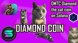 DMTC เหรียญมีมแมวน้องใหม่ อนาคตX10,000 ของTrader ทาสแมวทุกคน