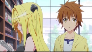 Please stop wrestling! Let them go and let me do it! What is it like to have a harem that spans the 