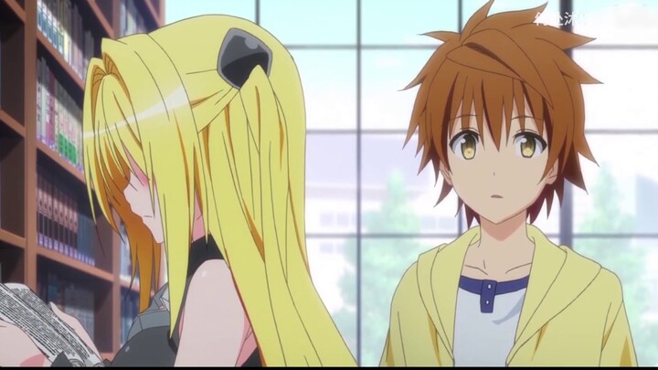 Please stop wrestling! Let them go and let me do it! What is it like to have a harem that spans the 