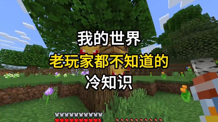 我的世界老玩家都不知道的冷知识