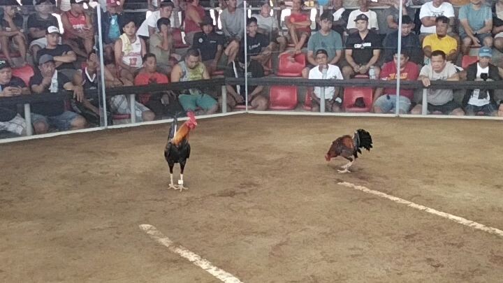 naunahan tayo Buti nalang matibay at naka ganti pa