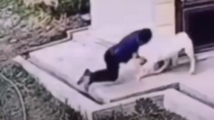 Naked Choke—An Effective Hand-to-Hand Technique for Subduing Aggressive Large Dogs